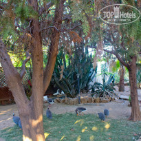 Green Paradise Beach Hotel 4* - Фото отеля