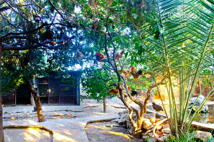 Green Paradise Beach Hotel 4* - Фото отеля