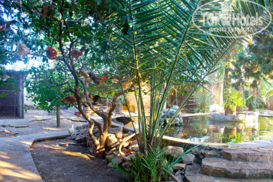 Green Paradise Beach Hotel 4* - Фото отеля