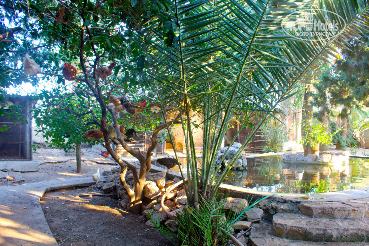Green Paradise Beach Hotel 4* - Фото отеля