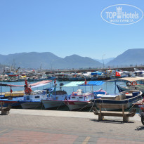 Blue Fish Hotel 4* Алания. - Фото отеля