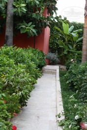 Green Paradise Beach Hotel 4* - Фото отеля