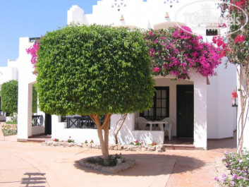 Verginia Sharm Resort & Aqua Park 4* Сюда хочется возвращаться... - Фото отеля