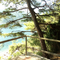 Premier Nergis Beach 4* Nirvana Beach - Фото отеля