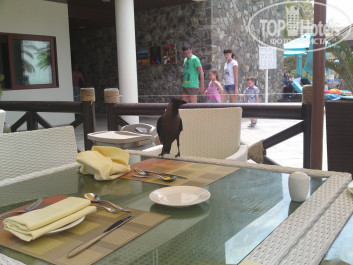 JA Beach Hotel 5* - Фото отеля