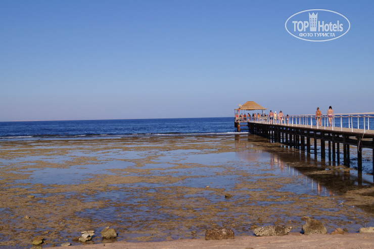 Sharm Grand Plaza Resort 5* отлив - Фото отеля