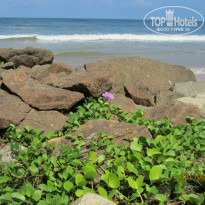Cinnamon Bentota Beach 4* - Фото отеля