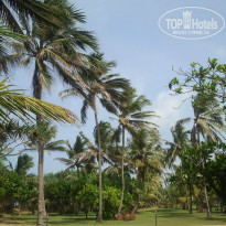 Cinnamon Bentota Beach 4* - Фото отеля