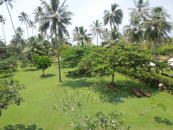 Cinnamon Bentota Beach 4* - Фото отеля
