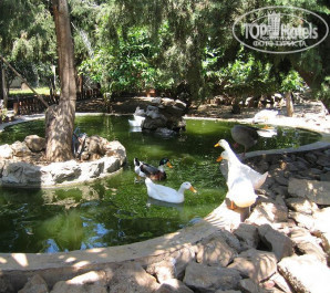 Green Paradise Beach Hotel 4* - Фото отеля