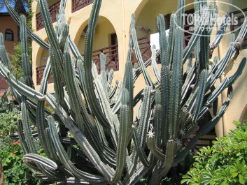 Green Paradise Beach Hotel 4* - Фото отеля