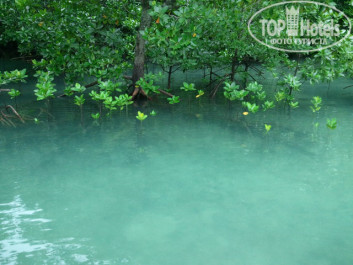 Diamond Cottage Resort & Spa 4* На островах - Фото отеля