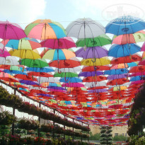 Carlton Sharjah 4* Зонтики - Фото отеля