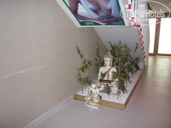 Zeynep Hotel 5* - Фото отеля