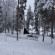 Фото Lapland Hotel Bear's Lodge