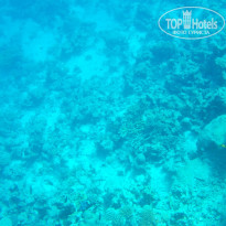 Zahabia Hotel & Beach Resort 4* - Фото отеля