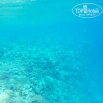 Zahabia Hotel & Beach Resort 4* - Фото отеля