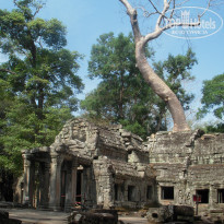 Angkor Hotel 4* Древний город и джунгли - Фото отеля