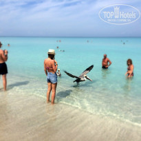 Brisas Del Caribe 4* - Фото отеля