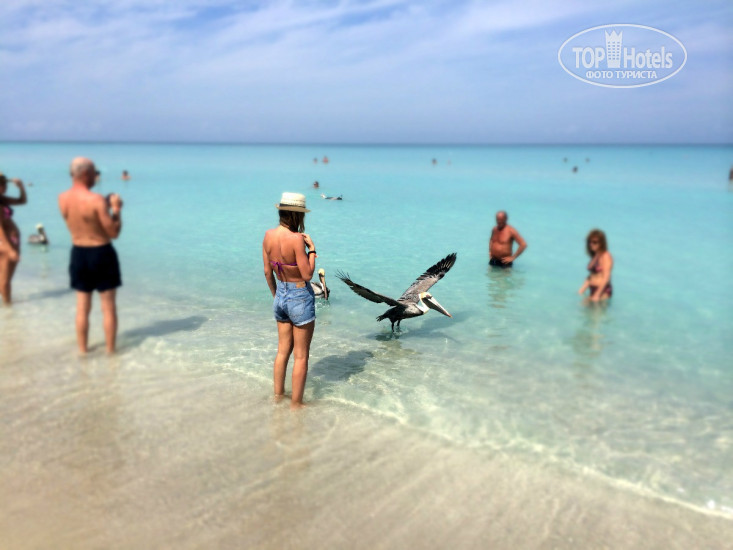 Brisas Del Caribe 4* - Фото отеля