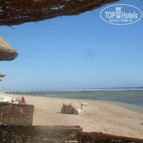 Sharm Grand Plaza Resort 5* Корабль пустыни всегда тут швартовался)) - Фото отеля