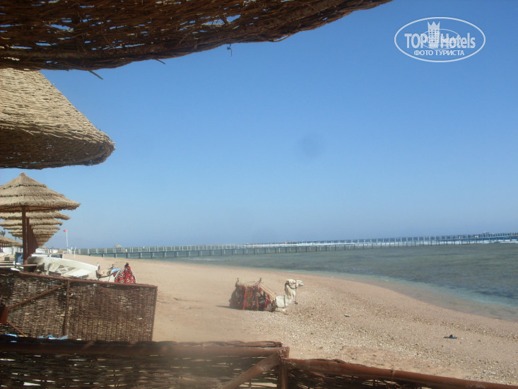 Sharm Grand Plaza Resort 5* Корабль пустыни всегда тут швартовался)) - Фото отеля