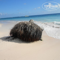Punta Cana Princess All Suite Resort & Spa 5* - Фото отеля