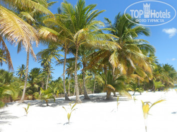 Punta Cana Princess All Suite Resort & Spa 5* Пляжи Саоны - Фото отеля