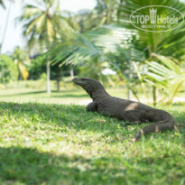 Cinnamon Bentota Beach 4* - Фото отеля