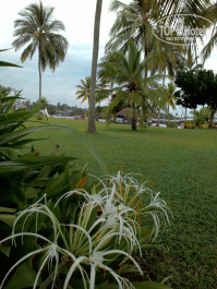 Cinnamon Bentota Beach 4* - Фото отеля