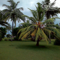 Cinnamon Bentota Beach 4* - Фото отеля