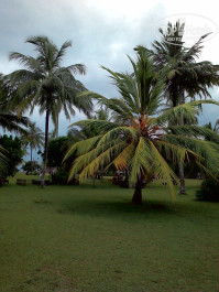 Cinnamon Bentota Beach 4* - Фото отеля