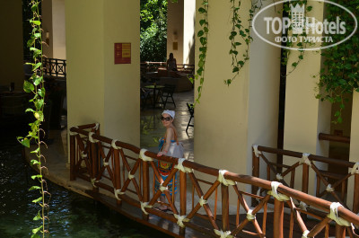 Occidental at Xcaret Destination 5* - Фото отеля