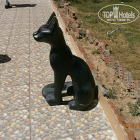 The Grand Makadi Hotel 5* тоже богиня - Фото отеля