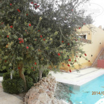 The Grand Makadi Hotel 5* - Фото отеля
