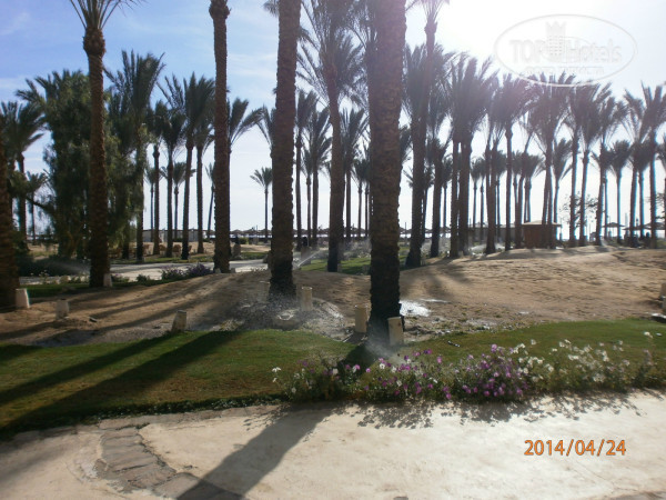The Grand Makadi Hotel 5* у моря - Фото отеля