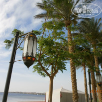 The Grand Makadi Hotel 5* красота - Фото отеля