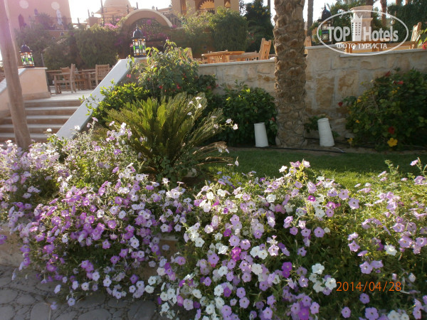 The Grand Makadi Hotel 5* - Фото отеля