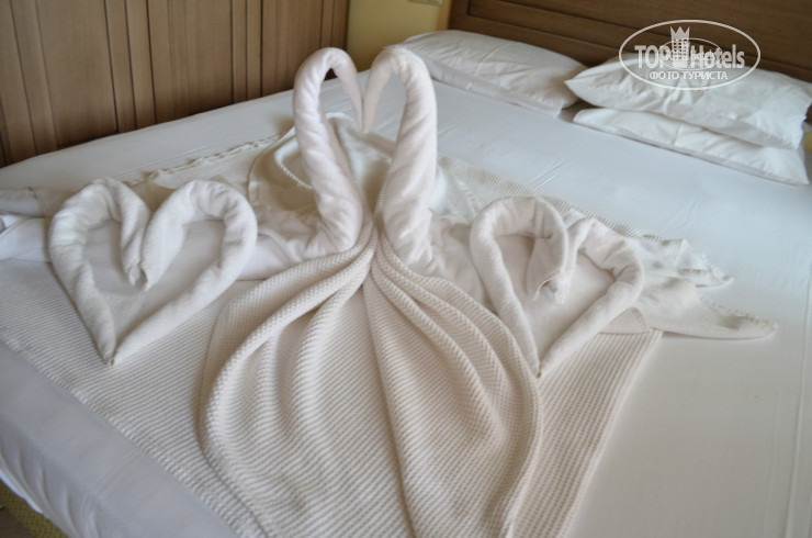 Green Paradise Beach Hotel 4* - Фото отеля