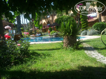 Green Paradise Beach Hotel 4* - Фото отеля