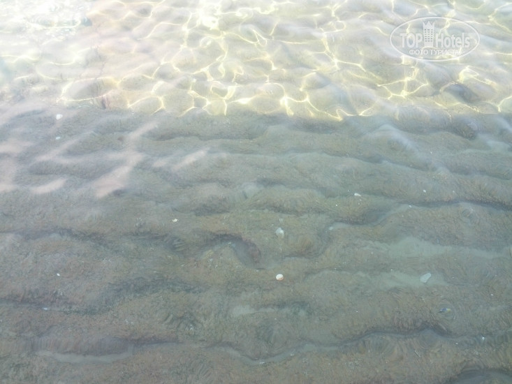 Green Paradise Beach Hotel 4* - Фото отеля