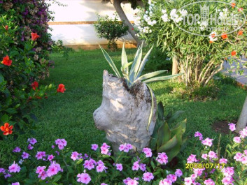 Green Paradise Beach Hotel 4* - Фото отеля